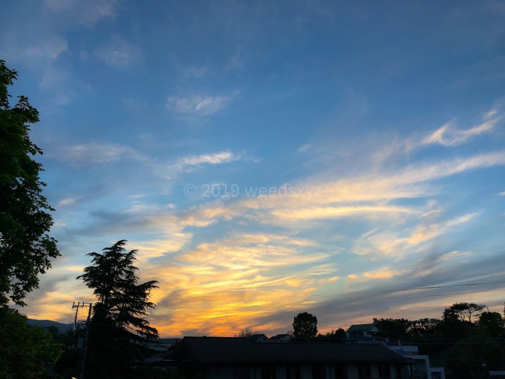 Sunset from my window 190508